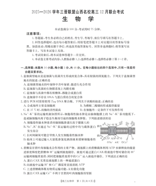 山西省名校三晋联盟2025-2026学年高三上学期12月联合考试（26-177C）生物试卷（含答案）.pdf