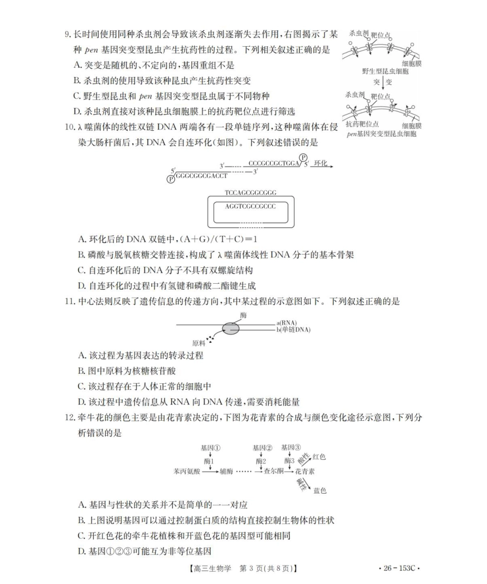 河北省邢台市2025-2026学年高三上学期第三次月考生物试题（含答案）.pdf_第3页
