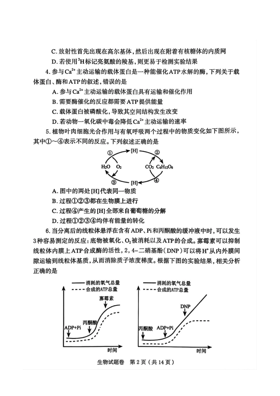 河南省郑州市2026届高三上学期第一次质量预测生物试题.pdf_第2页