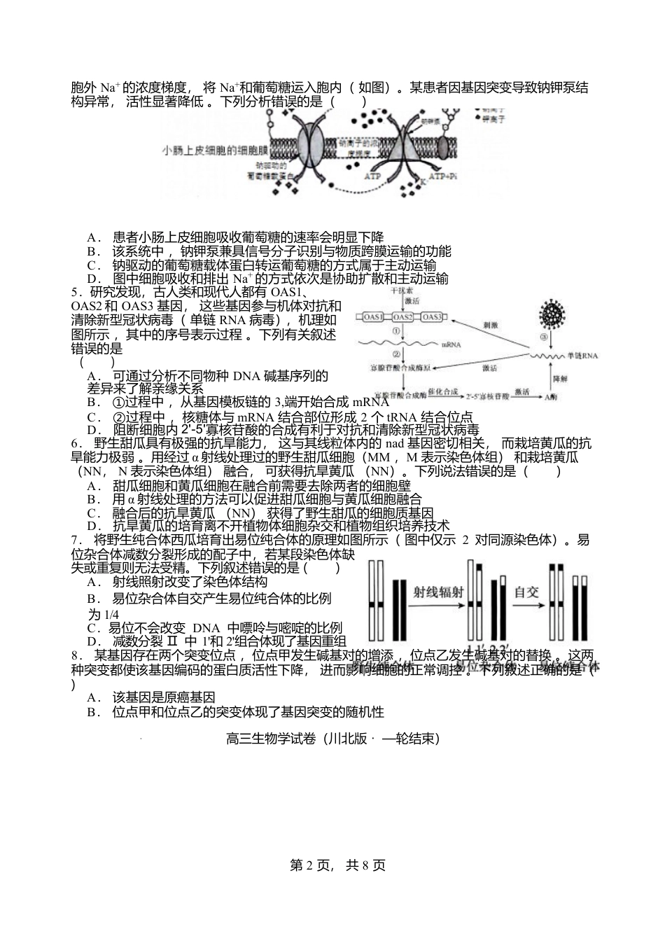 四川省2026届高三上学期1月第二阶段学情调研测试生物试卷（含答案）.docx_第2页
