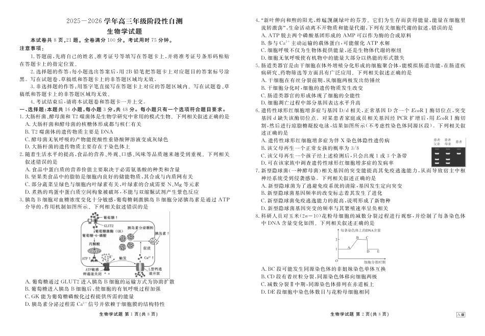 陕晋青宁衡水金卷2026届高三上学期12月阶段性自测生物试卷（含答案）.pdf_第1页