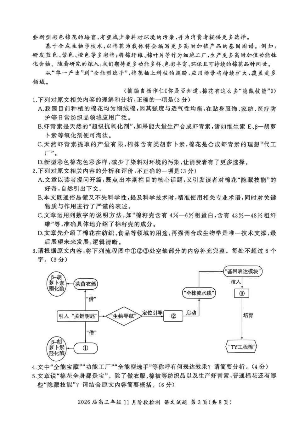 2026届高三年级11月阶段检测语文试题.pdf_第3页