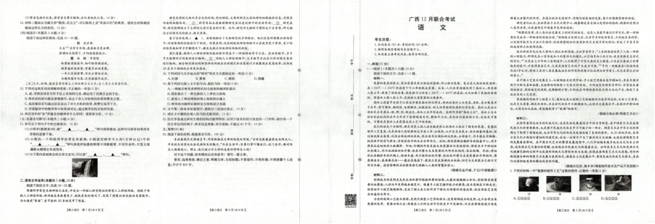 广西省2025届高三上学期12月联考（26-182C）语文.pdf_第1页