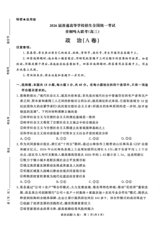河南青桐鸣2026届高三上学期12月联考政治.pdf