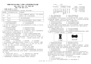 树德中学高2023级高三上学期11月阶段测试历史.pdf