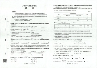 广西省2025届高三上学期12月联考（26-182C）数学.pdf