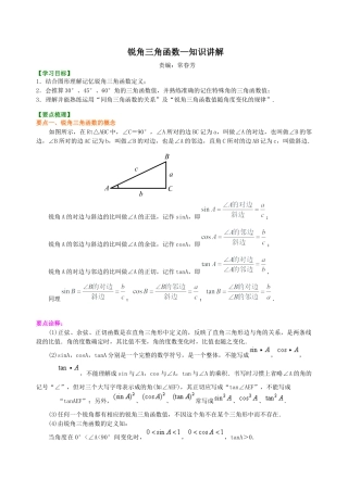 湘教版初中数学九年级上册知识点-锐角三角函数—知识讲解.docx