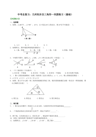 湘教版初中数学中考总复习：几何初步及三角形--巩固练习（基础）.docx