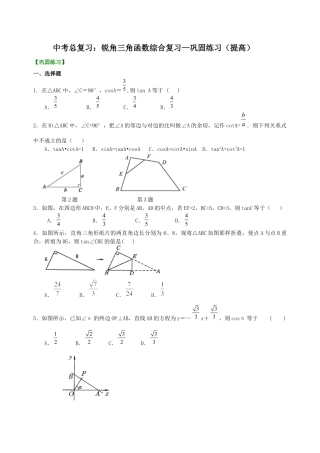 湘教版初中数学中考总复习：锐角三角函数综合复习--巩固练习（提高）.docx