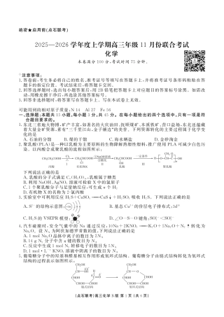 点石联考2025—2026学年度上学期高三年级11月份联合考试化学(B版).pdf