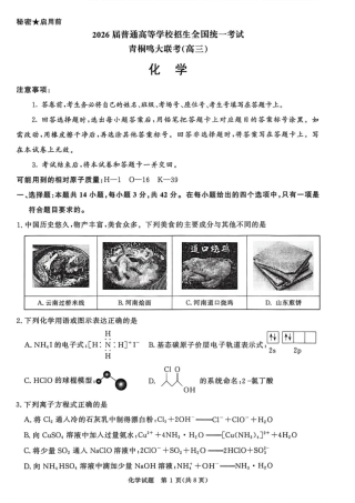 河南青桐鸣2026届高三上学期12月大联考化学试题.pdf