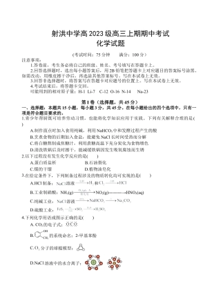 四川省遂宁市射洪中学2026届高三上学期期中考试  化学  Word版含答案_化学试题.doc