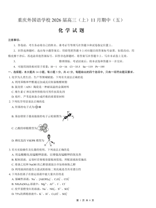 重庆实验外国语学校2025-2026学年度（上）高2026届11月月考（五）化学.pdf