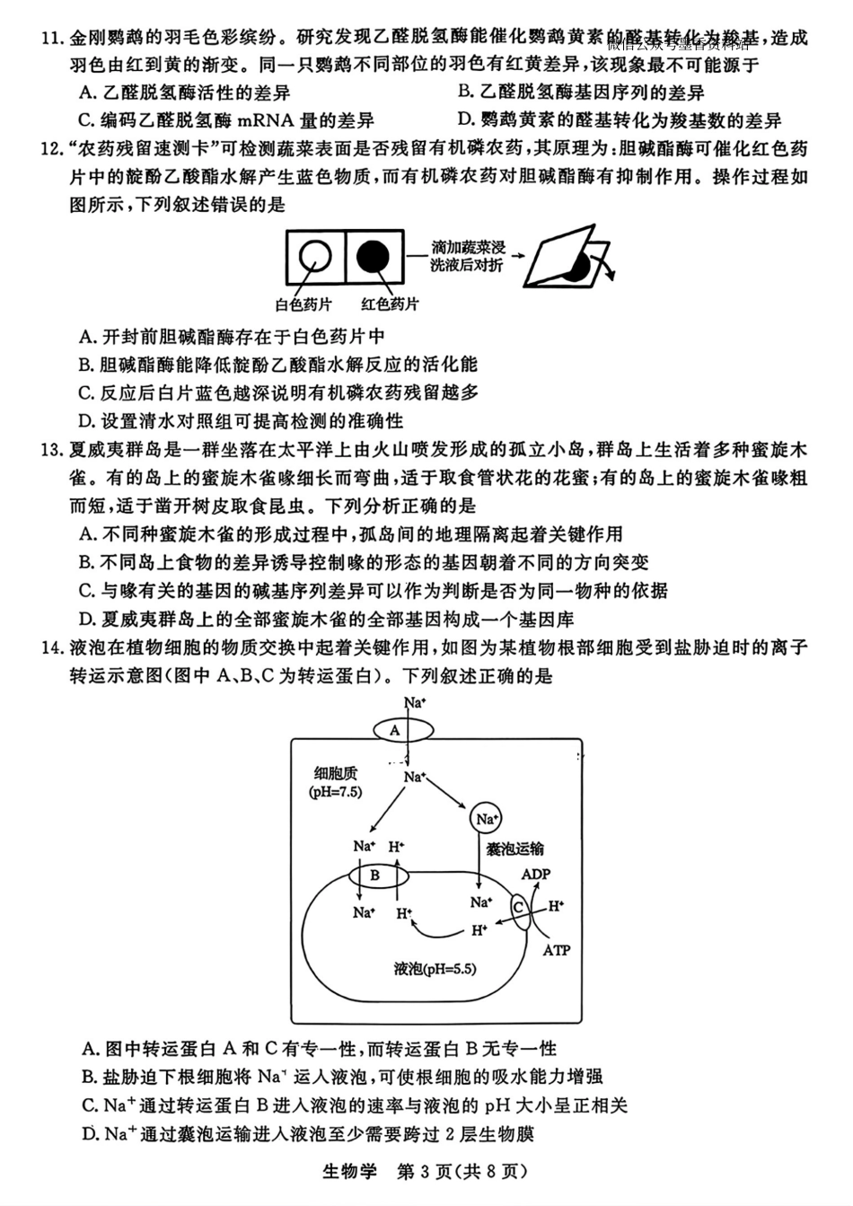 浙江省强基联盟2025-2026学年高三上学期10月联考生物试题（含答案）_生物试题｜26届强基联盟国庆返校考.pdf_第3页