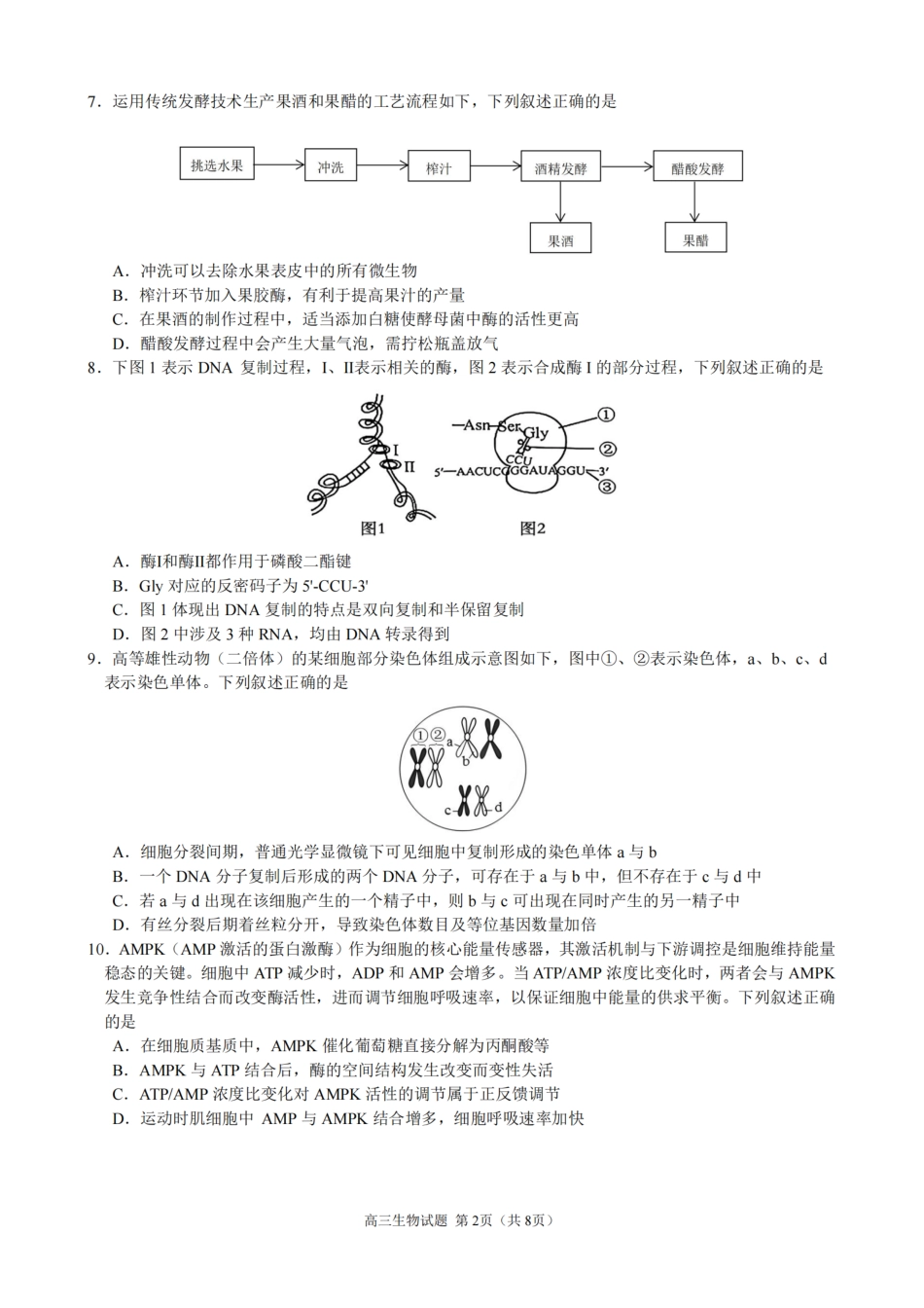 2510 浙江省江浙皖共同体高三生物试卷.pdf_第2页