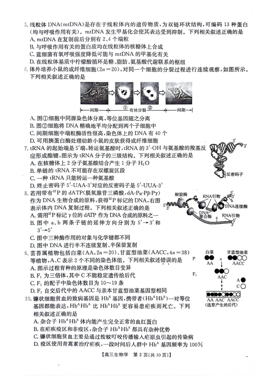 江苏金太阳百校联考2026届高三上学期12月生物试题+答案.pdf_第2页