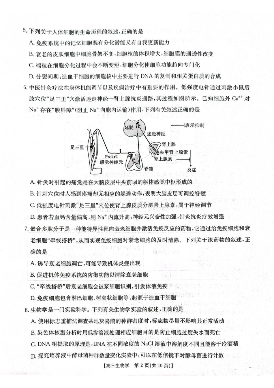 江苏省徐州市部分学校2025-2026学年高三上学期月考生物试卷.pdf_第2页