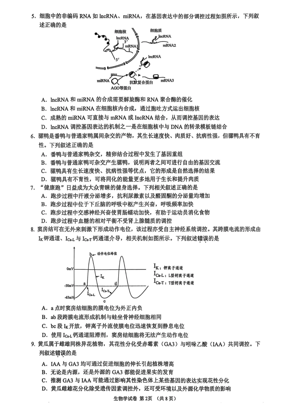 江苏省镇江市2025-2026学年高三上学期期中质量监测（全科）_【生物卷+标答】镇江高三期中2512.pdf_第2页