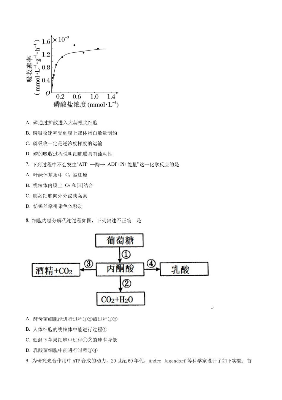 北京市西城区北京市育才学校2025-2026学年高三上学期9月月考生物试题（学生版）.docx_第2页