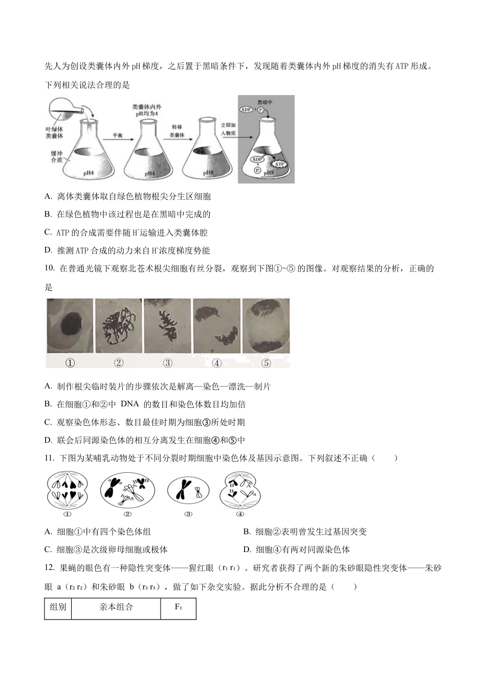 北京市西城区北京市育才学校2025-2026学年高三上学期9月月考生物试题（学生版）.docx_第3页