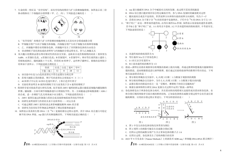 【8K生物学】（A卷）1号卷·A10联盟2026届高三上学期11月期中质量检测生物学A.pdf_第2页