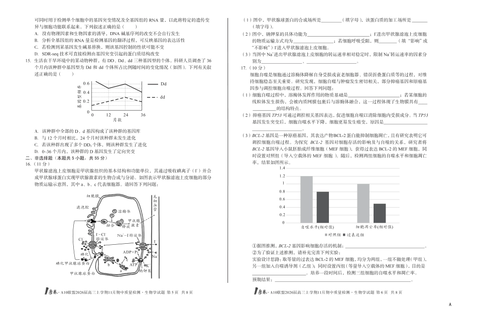 【8K生物学】（A卷）1号卷·A10联盟2026届高三上学期11月期中质量检测生物学A.pdf_第3页
