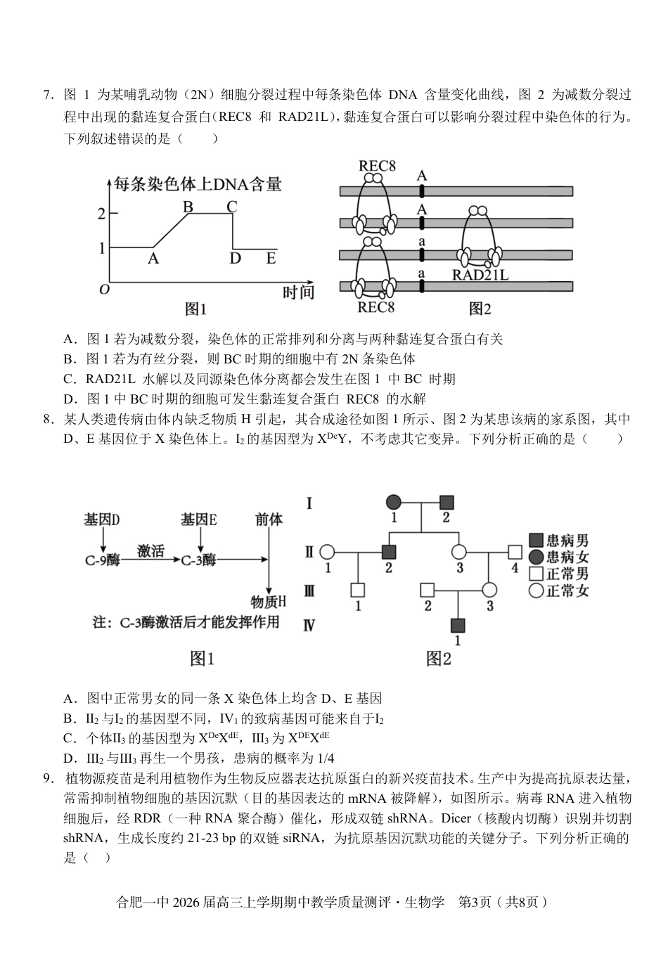 【生物】合肥一中2026届高三上学期期中教学质量检测.pdf_第3页