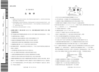【生物】天一大联考·安徽省高三上学期11月期中联考.pdf