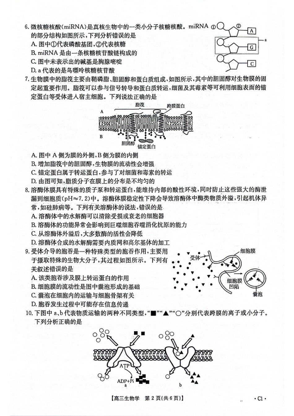 2025-2026年度上学期河南省高三年级第二次联考（26-37C）生物.pdf_第2页
