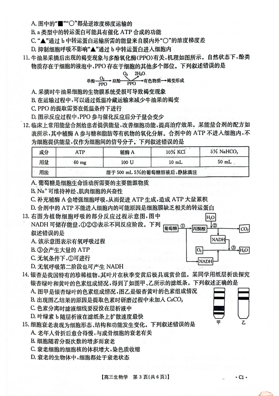 2025-2026年度上学期河南省高三年级第二次联考（26-37C）生物.pdf_第3页