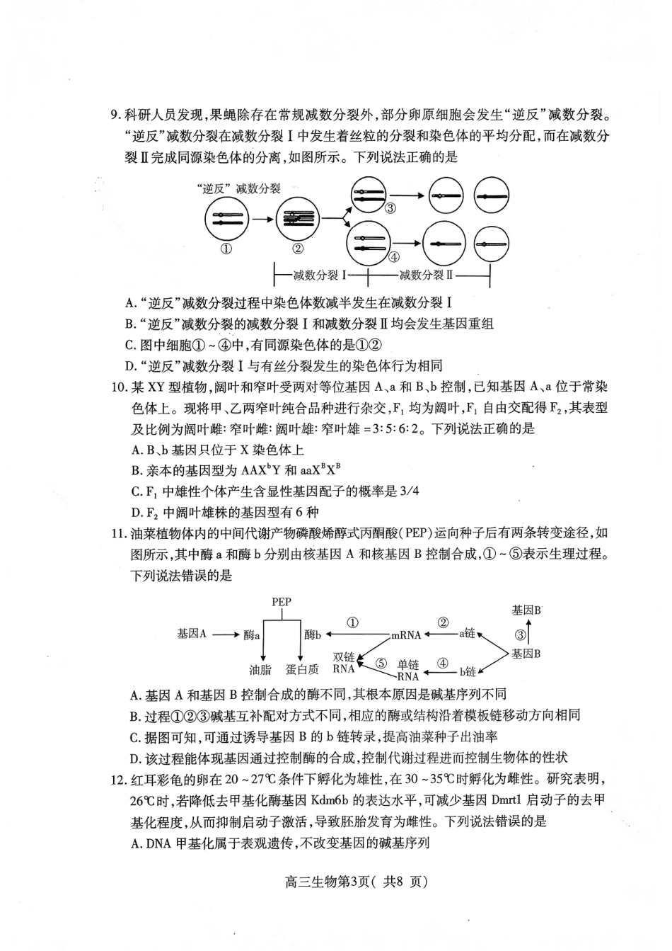 2025—2026学年度第一学期期中学业水平诊断生物.pdf_第3页