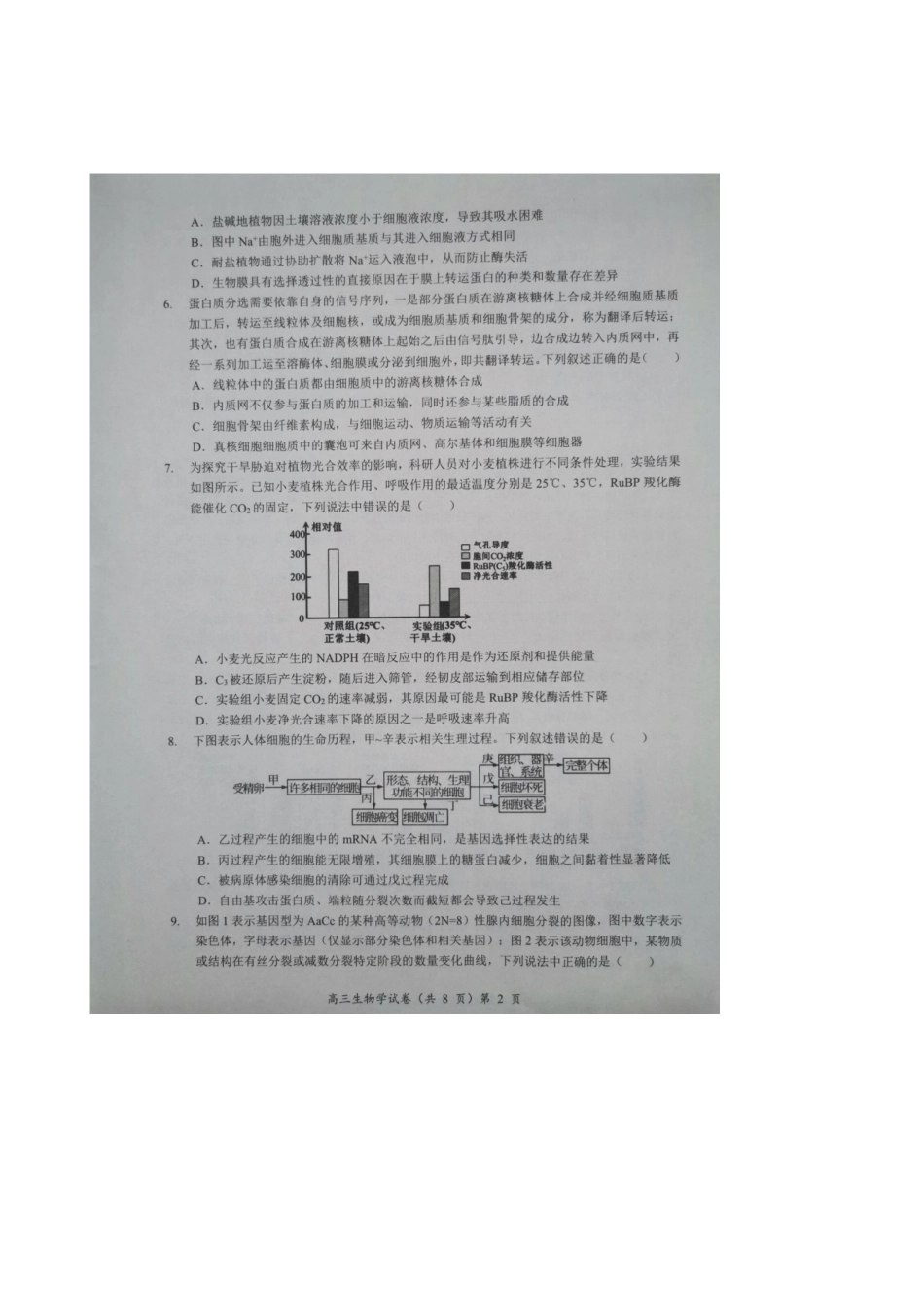 2025-2026学年度湖北省高三上学期期中考试-生物试题.docx_第2页