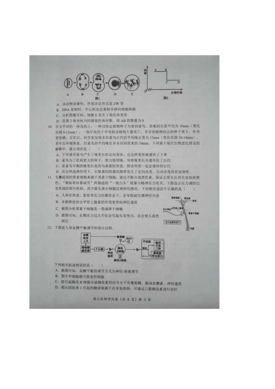 2025-2026学年度湖北省高三上学期期中考试-生物试题.docx_第3页