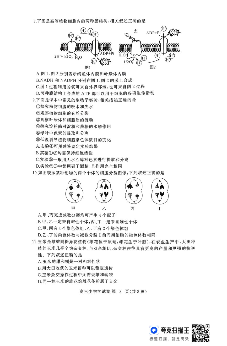 2025年秋黄冈市部分高中高三期中考试生物试题.pdf_第3页