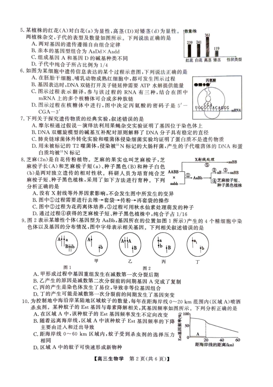 2025年榆林市高三生物联考试卷.pdf_第2页