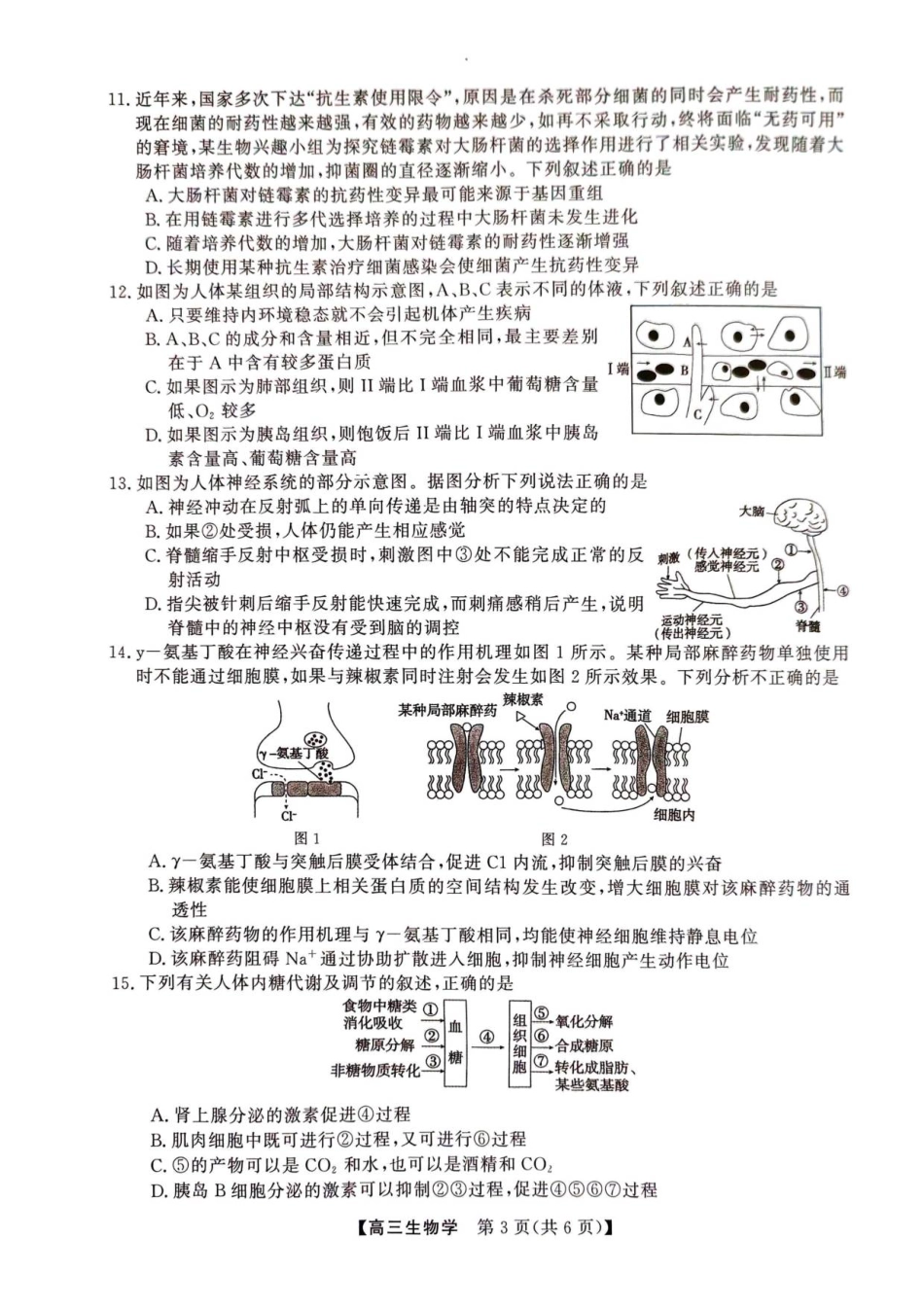 2025年榆林市高三生物联考试卷.pdf_第3页