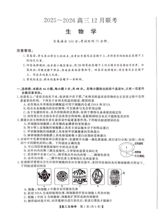 2025年榆林市高三生物联考试卷.pdf