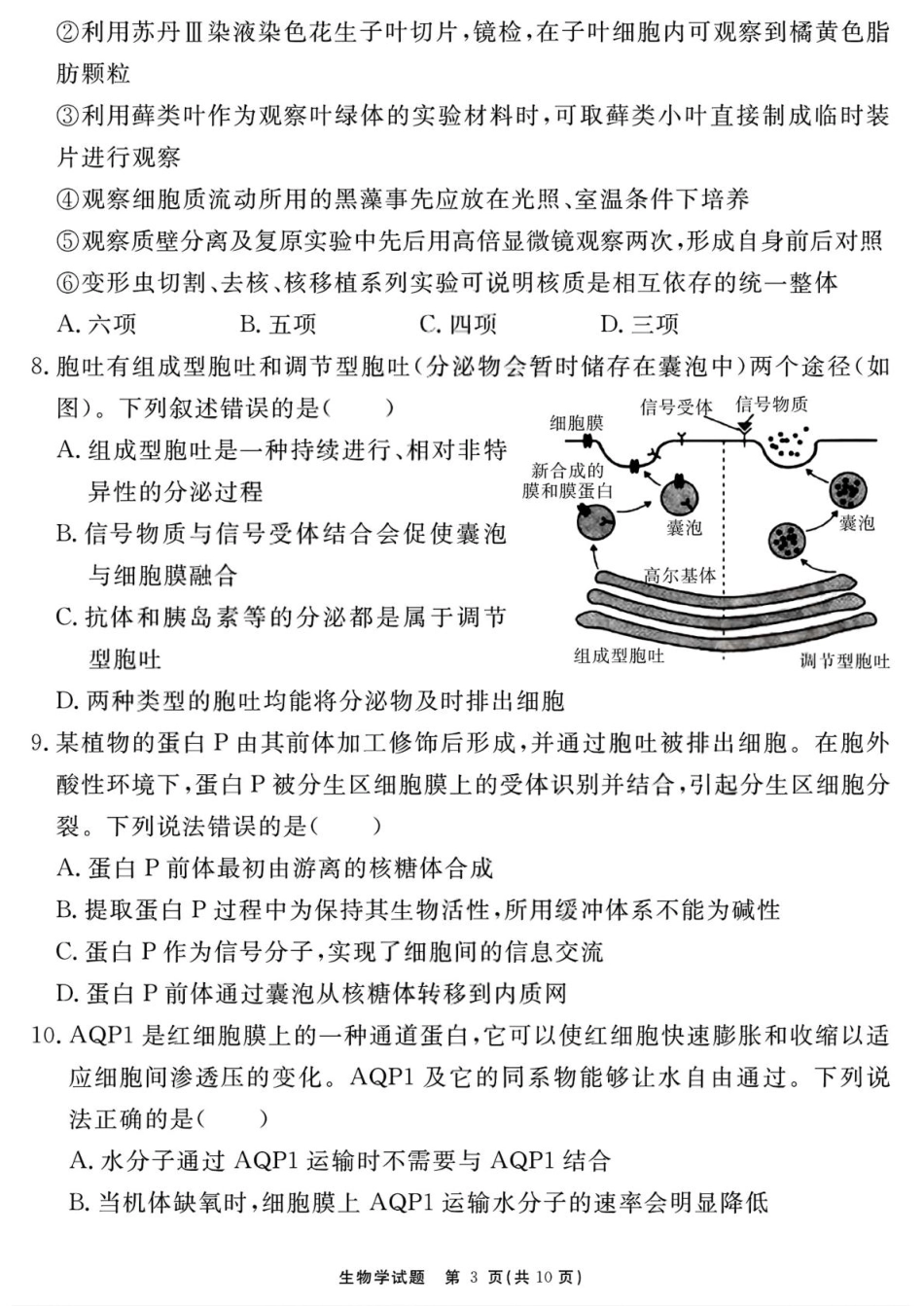 2026届安徽合肥一六八中学高三上学期一模生物试题+答案_生物学试题（一六八 一模）.pdf_第3页