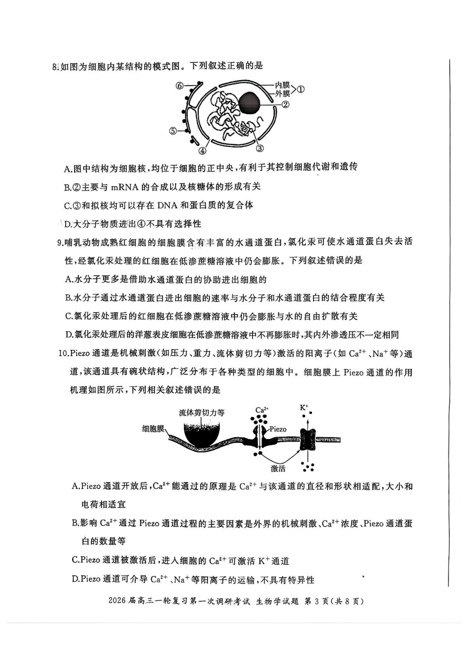 2026届百师联盟高三上学期第一次调研考试生物试卷（含答案）_生物试题（D）.pdf_第3页