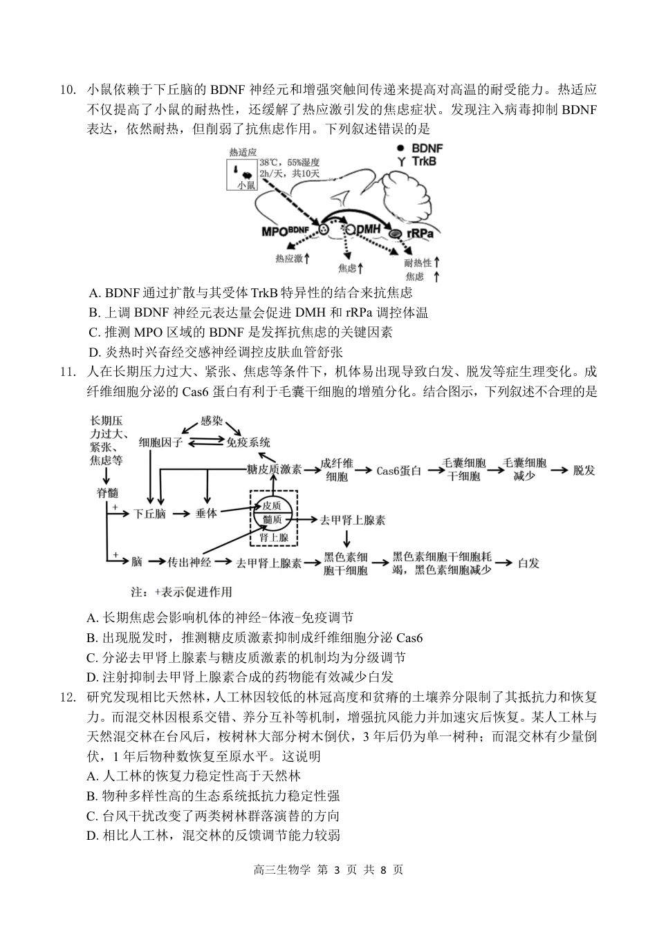 2026届深圳市高三年级第一次模拟联测试卷(生物试卷).pdf_第3页