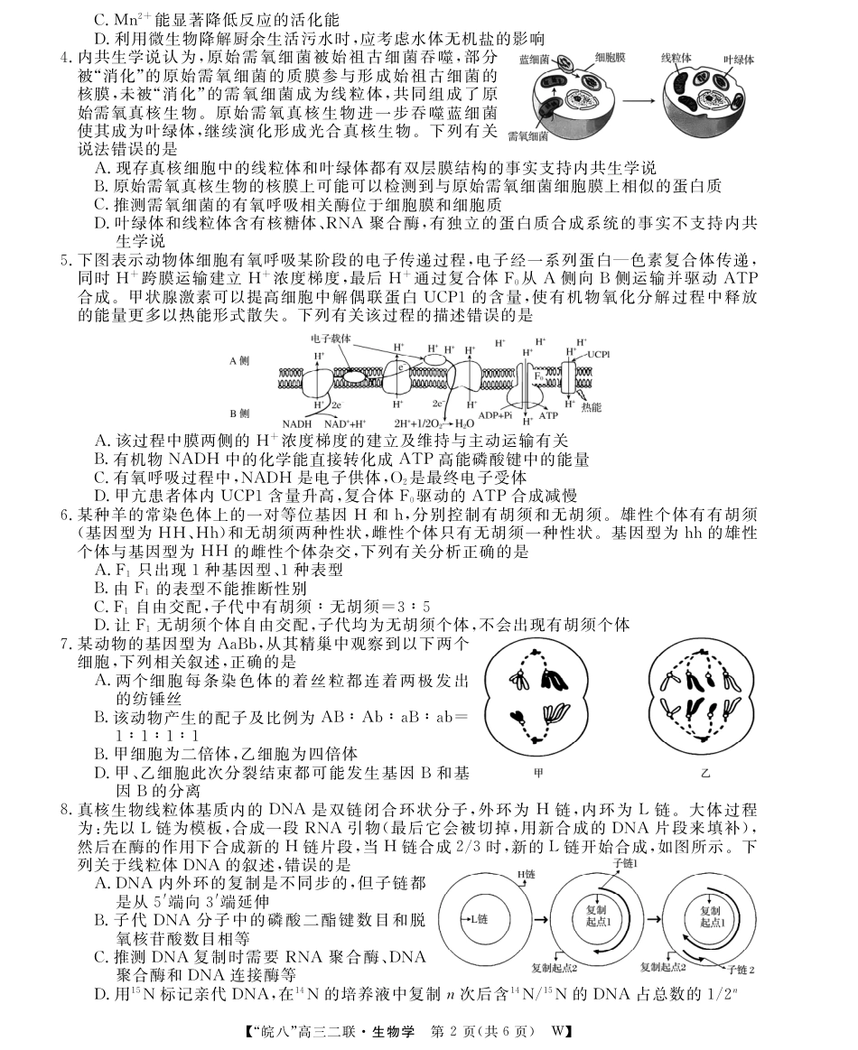 安徽省2026届皖南八校高三第二次大联考（全科）_26高三皖八二联-生物学.pdf_第2页