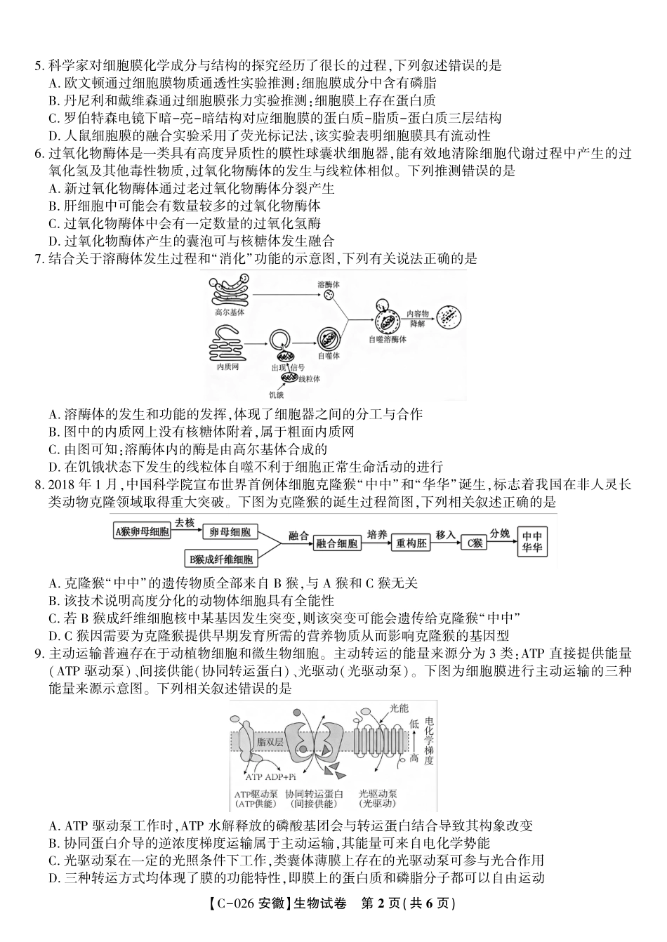 安徽省皖江名校联盟2025-2026学年高三上学期期中联考（全科）_生物试题·2025年11月高三期中联考.pdf_第2页