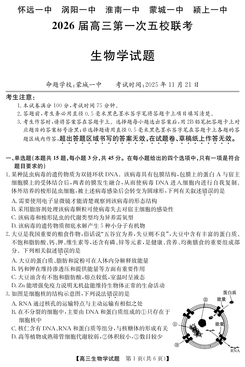 安徽省五校联盟2026届高三年级11月第一次五校联考（全科）_25年11月五校联盟-生物.pdf_第1页