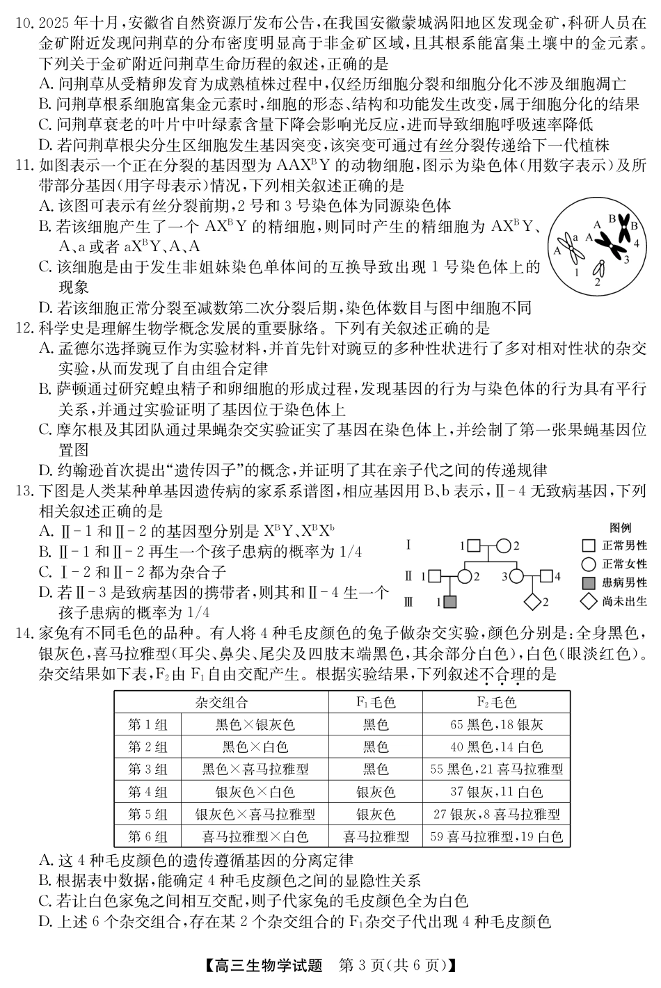 安徽省五校联盟2026届高三年级11月第一次五校联考（全科）_25年11月五校联盟-生物.pdf_第3页