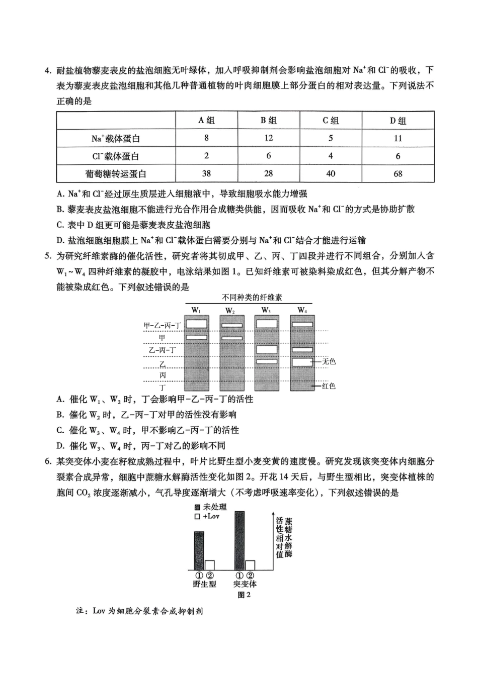 巴蜀中学2026届高考适应性月考卷（四）生物.pdf_第2页