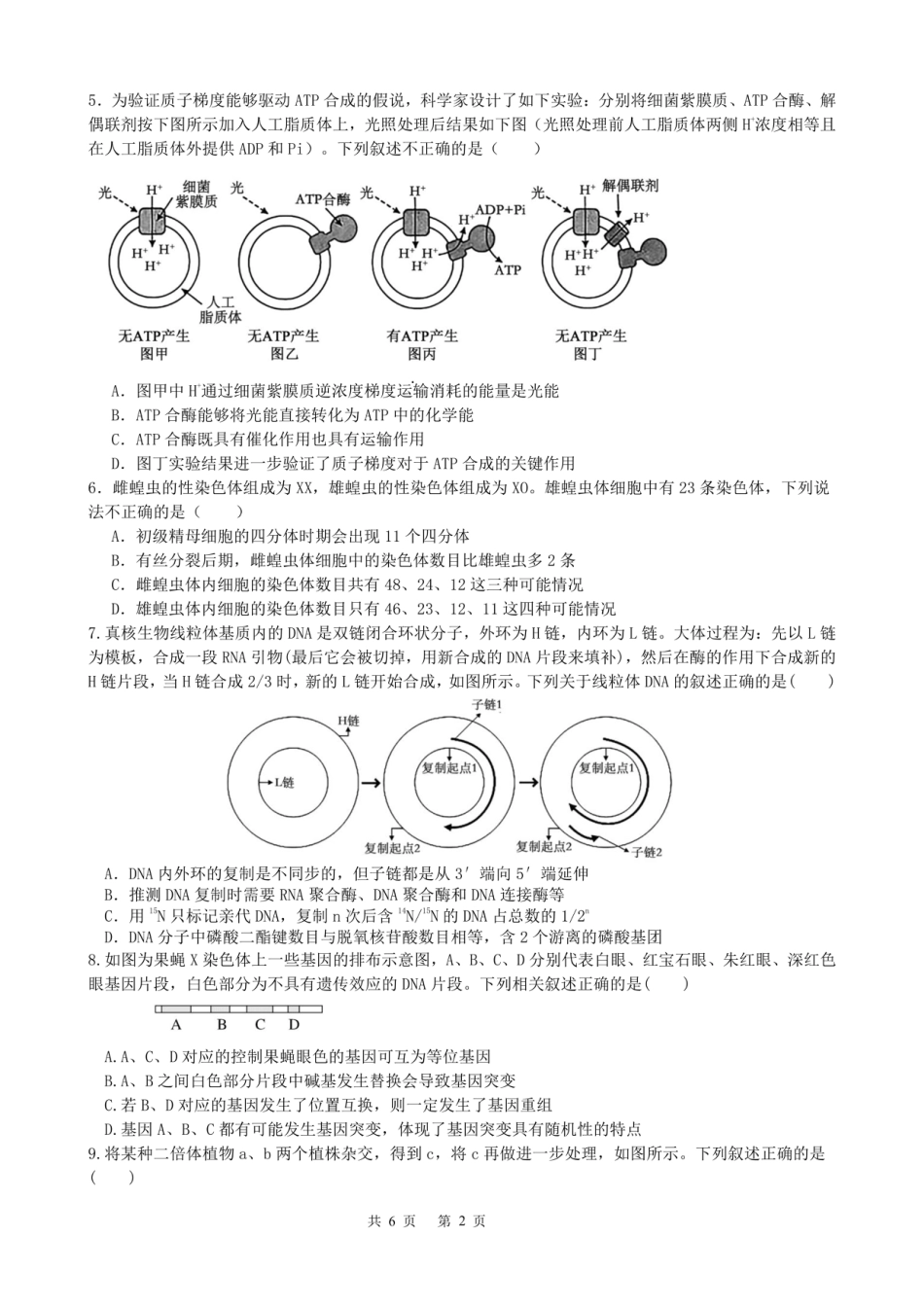 成都市第七中学2025-2026学年高三上学期11月半期考试生物.pdf_第2页