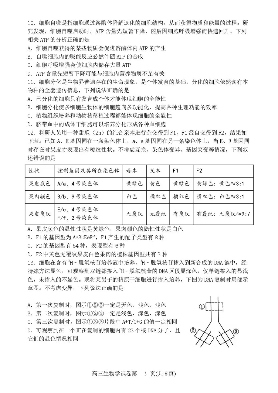 丹东市2026届高三总复习阶段测试生物.pdf_第3页
