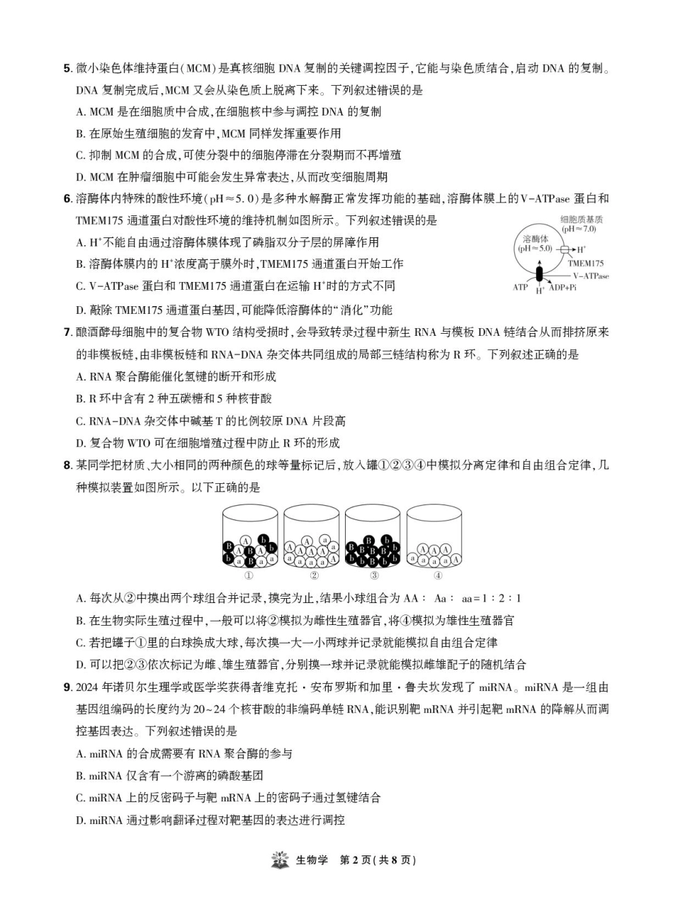 东北精准教学联盟高三10月---生物学 强化卷 试卷.pdf_第2页