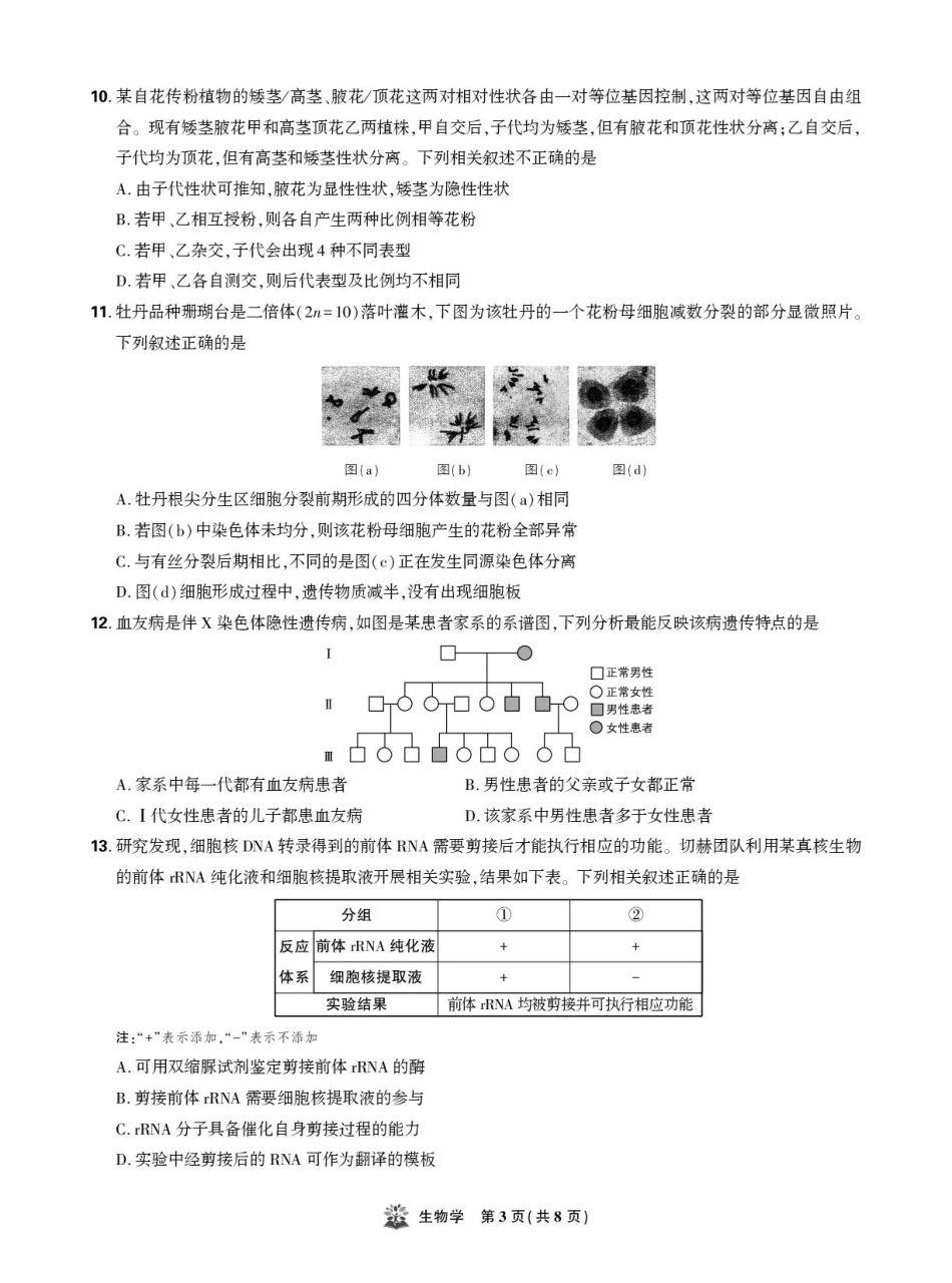 东北精准教学联盟高三10月---生物学 强化卷 试卷.pdf_第3页