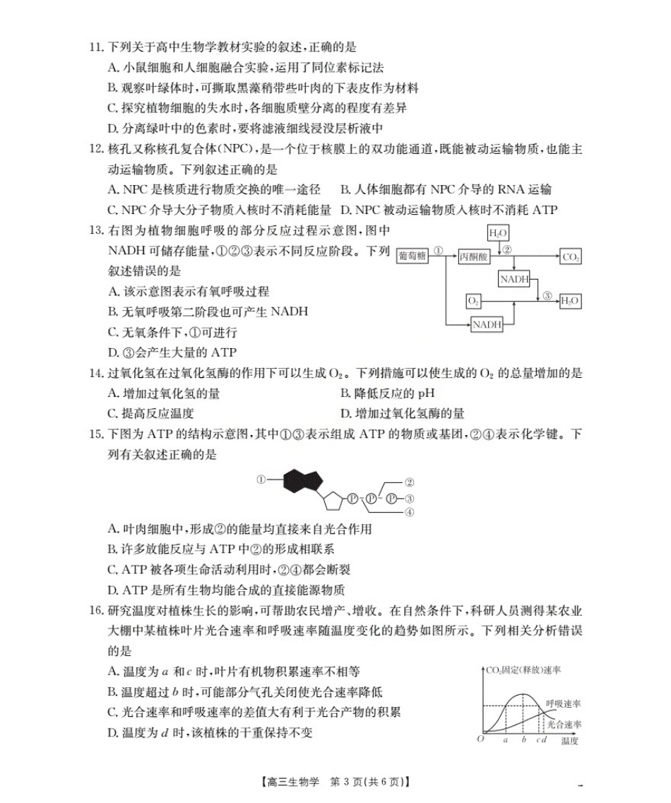 甘肃省2026届高三上学期10月联考（26-76C）生物.pdf_第3页